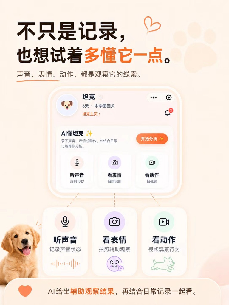 不只是记录，也想试着多懂它一点 - 声音、表情、动作
